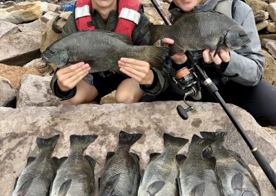 Managing Durector Daiwa Australia Greg Seeto and son with a great bag of rock blackfish to 2+kg.