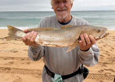 At 85 years young your never too old to land your first beach jewfish. This one was caught whilst beach whiting fishing. it picked up a beach worm on a no-1 hook and fought really well on 4kg braid. it was released.