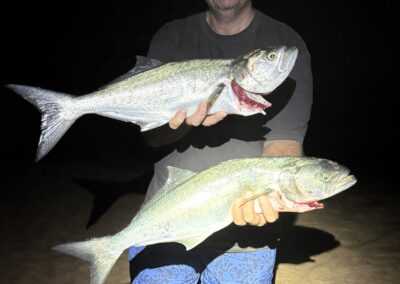 Two beautiful 60+ cm tailor of the surf beach night fishing. Ask for a night fishing tour off the beach.