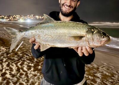 How is this for a stud Sydney tailor! it went over 70cm and was a bi catch fishing for beach jewfish of the iconic Sydney's Manly beach.
