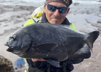 The tanks of the rocks. Black Drummer! They pull like a train and pound for pound one of the toughest species you will encounter. This fish I caught myself and it was returned to fight another day.