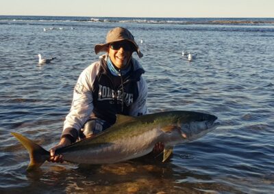 Milestones can be reached. Tjhis magnificent 132cm kingfish was a life long acheivement for my client. After a 20+ minuite battle it was landed off the ocean rocks. A few photos then finally released to fight another day.